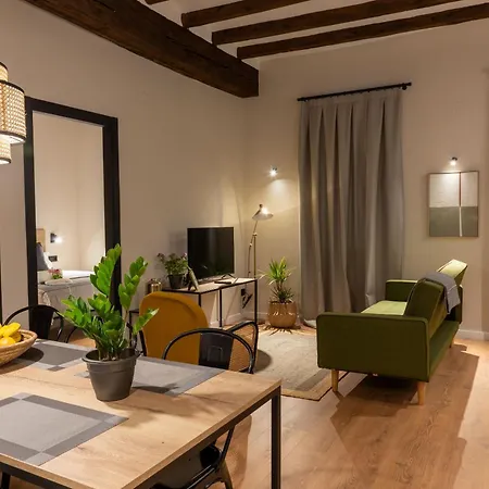 Lägenhet Casa Maragall Sant Joan de les Abadesses